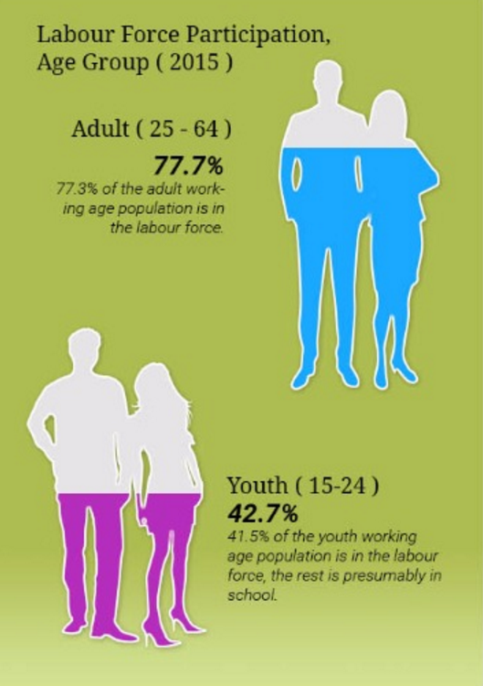 Labour Force Participation Rate, Age Group (2015)